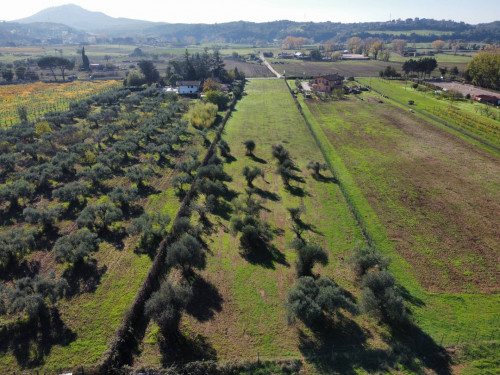 Terreno Agricolo in vendita a Palombara Sabina