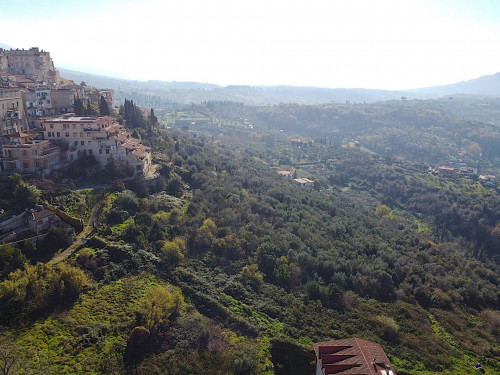 Terreno edificabile in vendita a Palombara Sabina (RM)