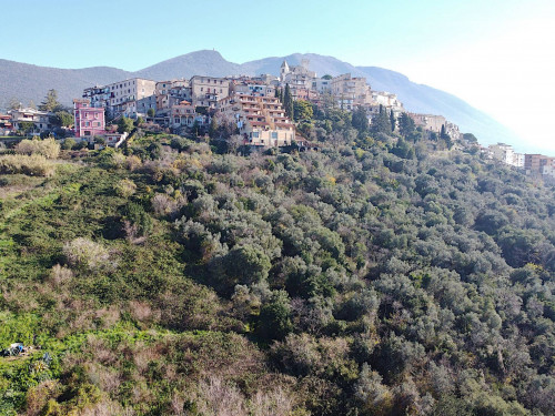 Terreno edificabile in vendita a Palombara Sabina (RM)