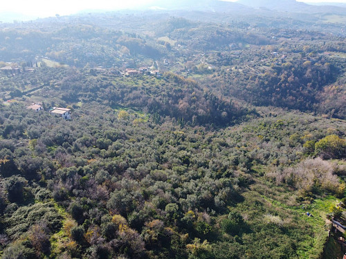 Terreno edificabile in vendita a Palombara Sabina (RM)