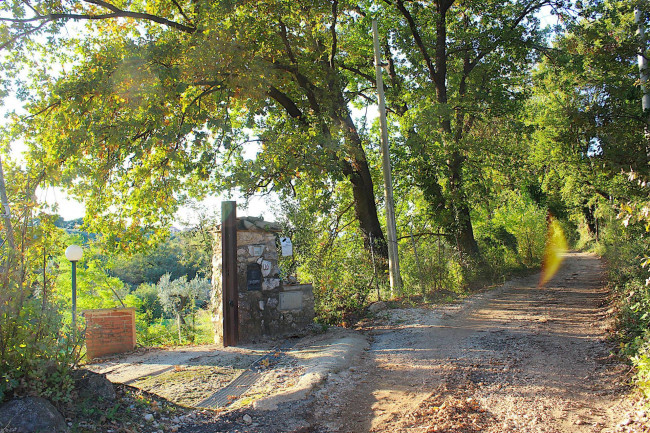 Villa in vendita a Palombara Sabina (RM)