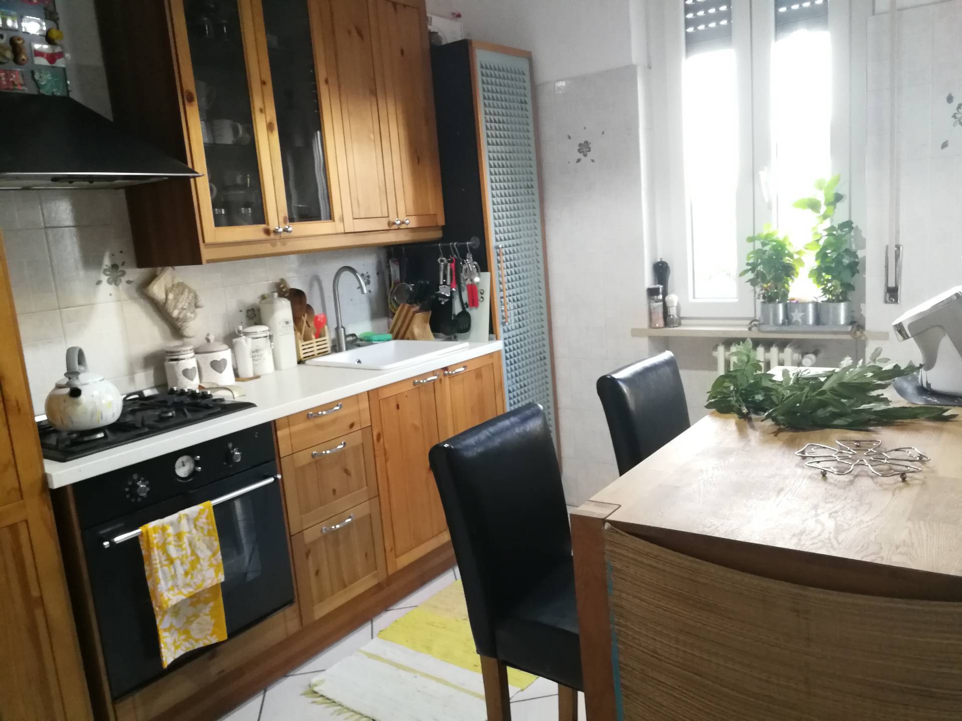 Appartamento NOVARA vendita  Bicocca - S. Rita  Costruzioni Novaresi Agenzia Immobiliare