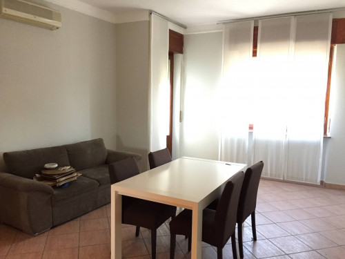 Appartamento in Affitto a Novara