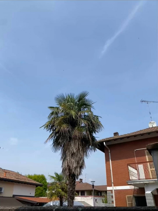 Villa in Vendita a Nibbiola