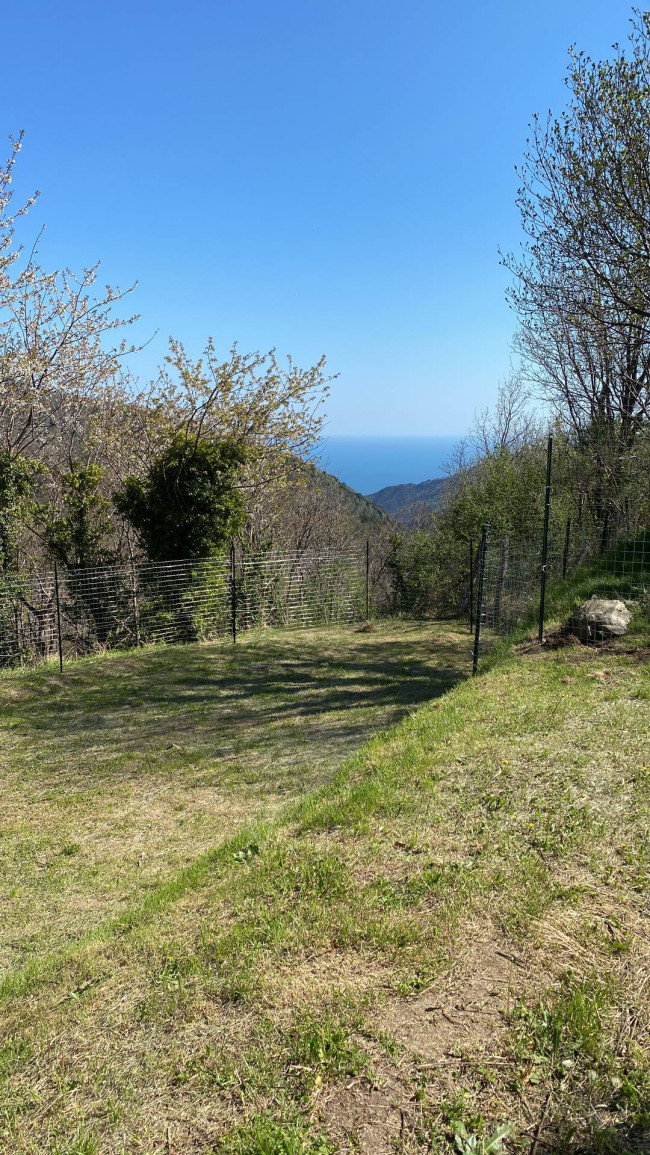 Terreno Agricolo