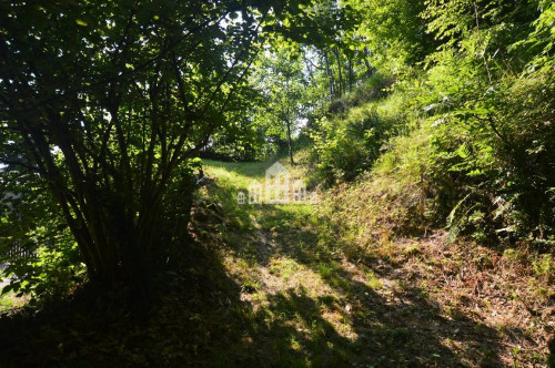 Terreno edificabile in vendita a Frassinetto