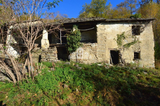 Fixer-upper for sale in Valchiusa