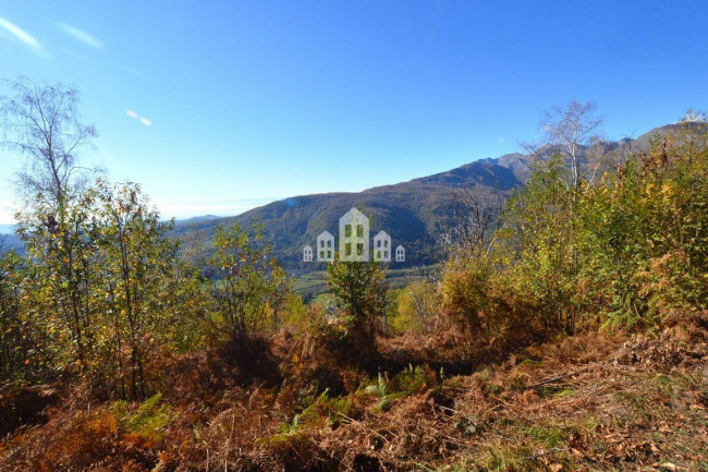 Fixer-upper for sale in Valchiusa