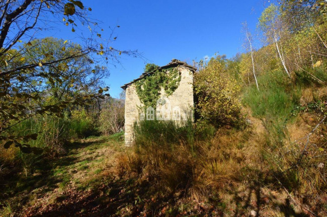 Fixer-upper for sale in Valchiusa