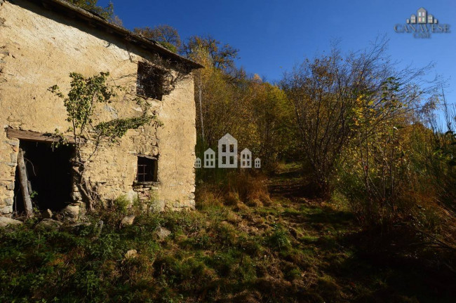 Fixer-upper for sale in Valchiusa