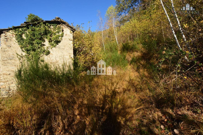 Fixer-upper for sale in Valchiusa