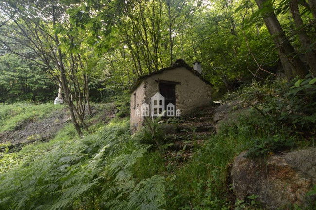 Fixer-upper for sale in Chiesanuova