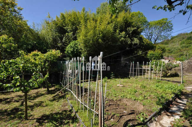 Detached house for sale in Pavone Canavese