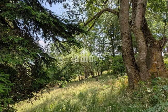 Rustico in vendita a Andrate
