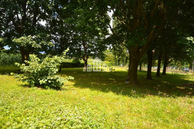 Business for sale in Colleretto Giacosa