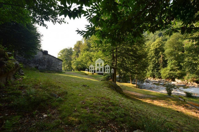 Fixer-upper for sale in Traversella