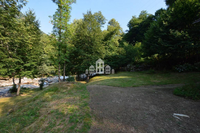 Fixer-upper for sale in Traversella