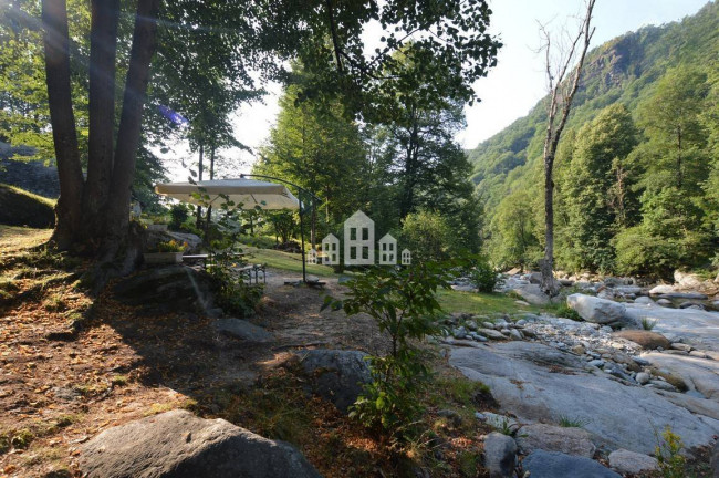 Fixer-upper for sale in Traversella