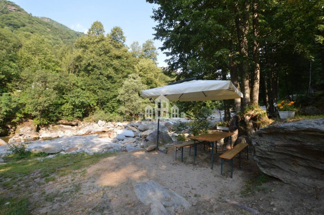 Fixer-upper for sale in Traversella