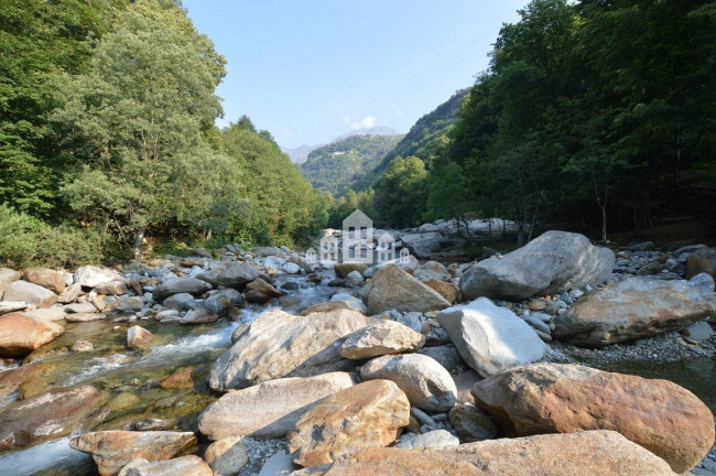 Fixer-upper for sale in Traversella