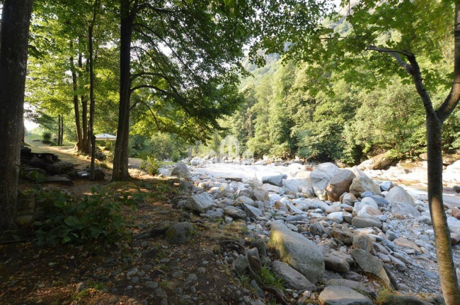 Fixer-upper for sale in Traversella