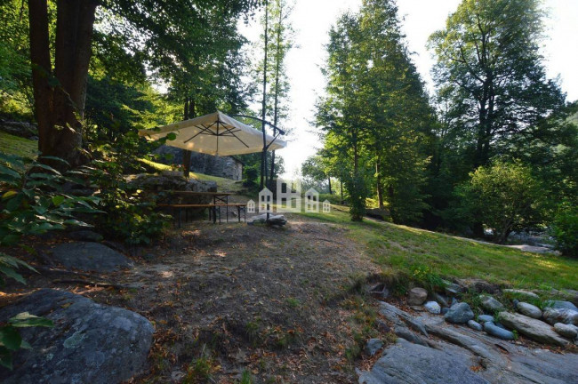 Fixer-upper for sale in Traversella