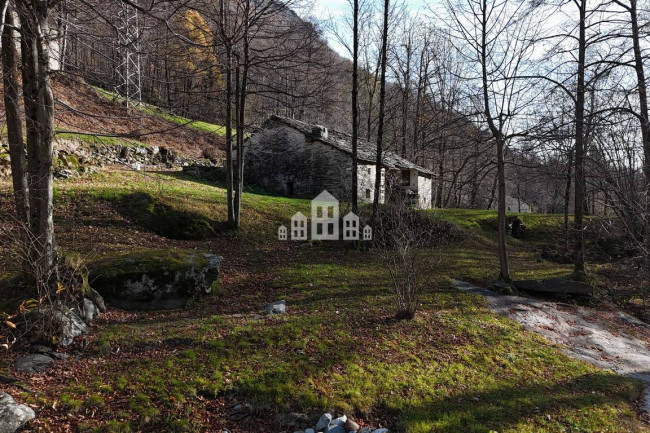 Fixer-upper for sale in Traversella