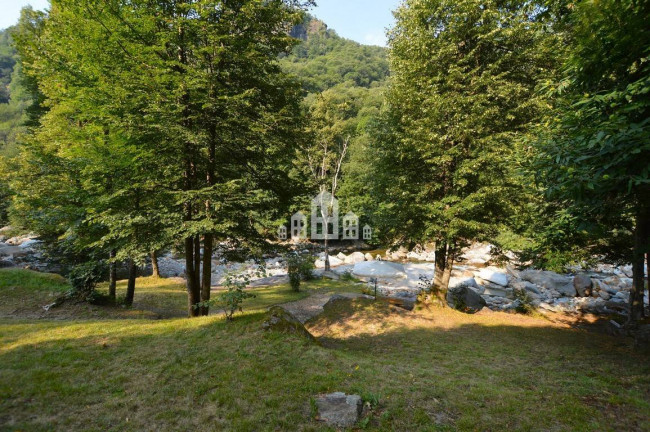 Fixer-upper for sale in Traversella