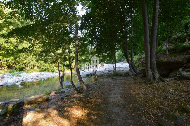 Fixer-upper for sale in Traversella