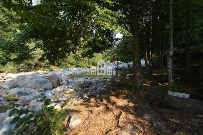 Fixer-upper for sale in Traversella