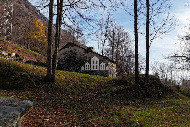 Fixer-upper for sale in Traversella