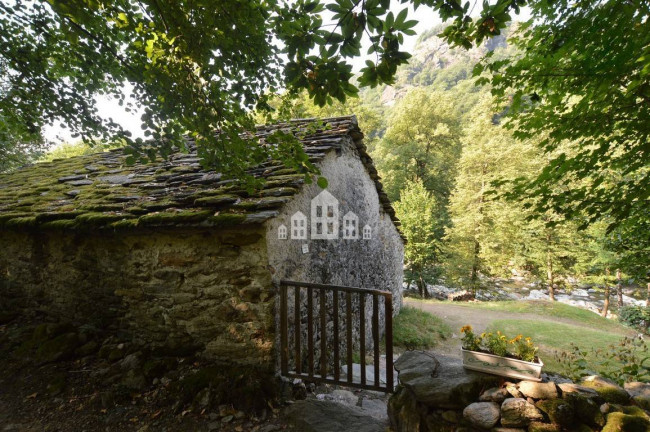 Fixer-upper for sale in Traversella