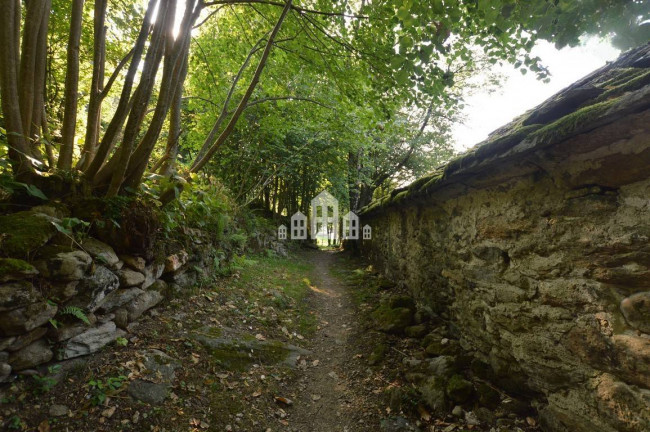 Fixer-upper for sale in Traversella