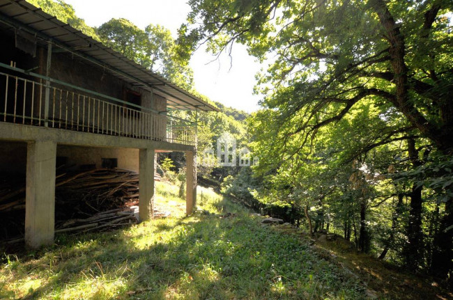 Casa semindipendente in vendita a Frassinetto