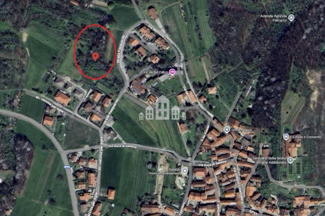 Terreno edificabile in vendita a Cuceglio