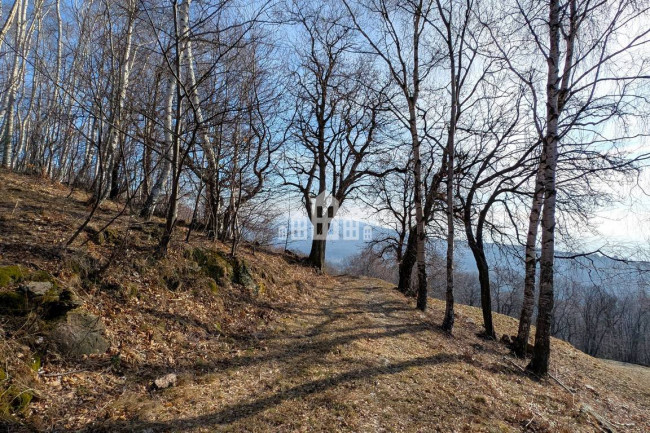 Rustico in vendita a Donato