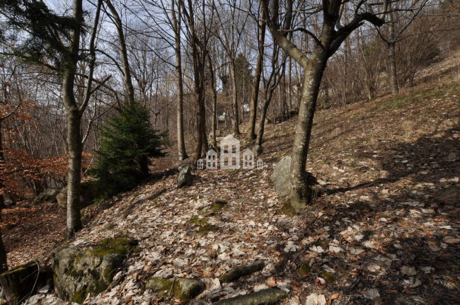 Detached house for sale in Ribordone