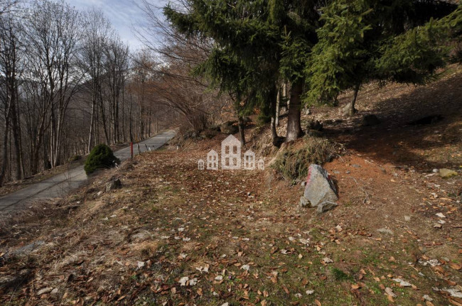 Detached house for sale in Ribordone