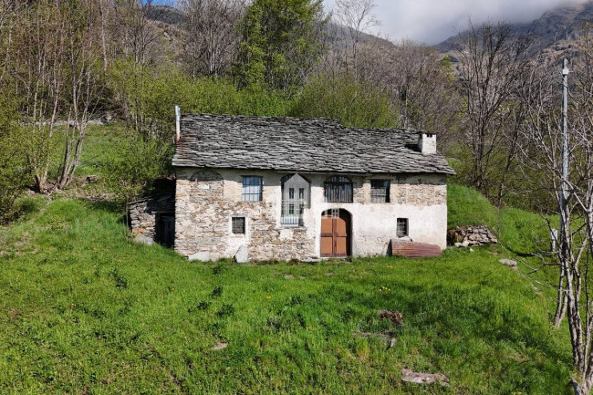 Fixer-upper for sale in Traversella