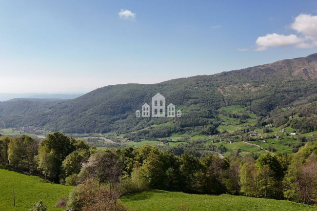 Fixer-upper for sale in Traversella