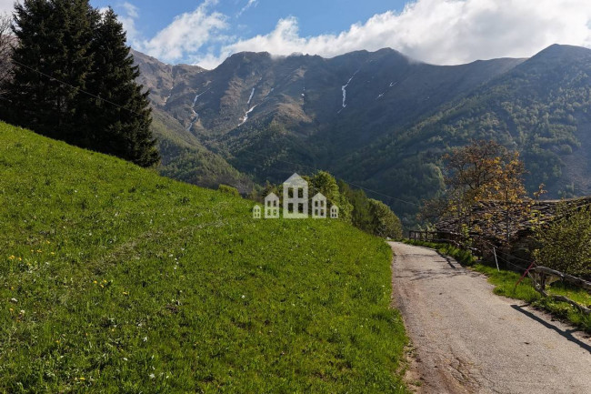 Fixer-upper for sale in Traversella