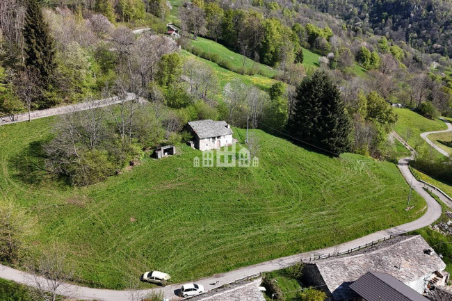 Fixer-upper for sale in Traversella