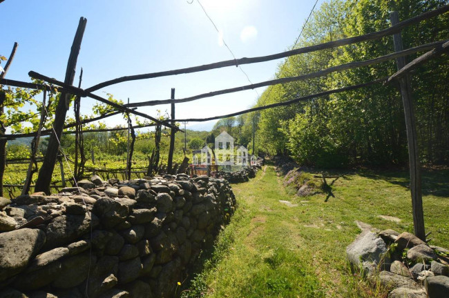 Casa indipendente in vendita a Vistrorio