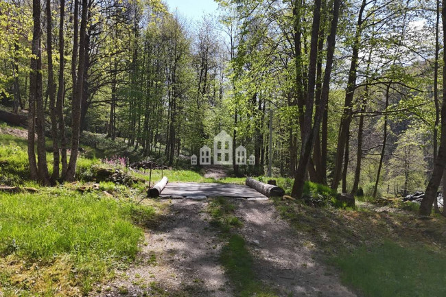 Fixer-upper for sale in Traversella