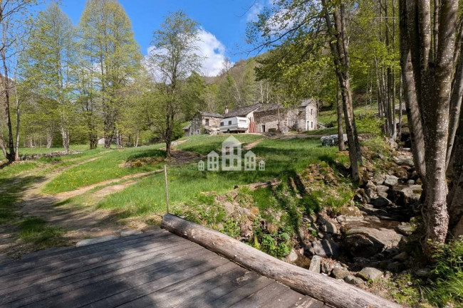 Fixer-upper for sale in Traversella