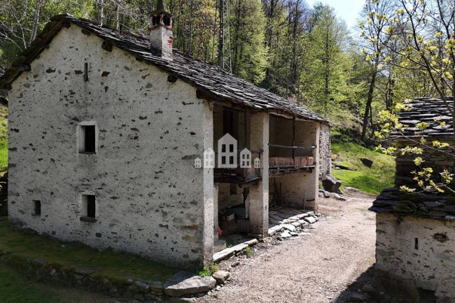Fixer-upper for sale in Traversella