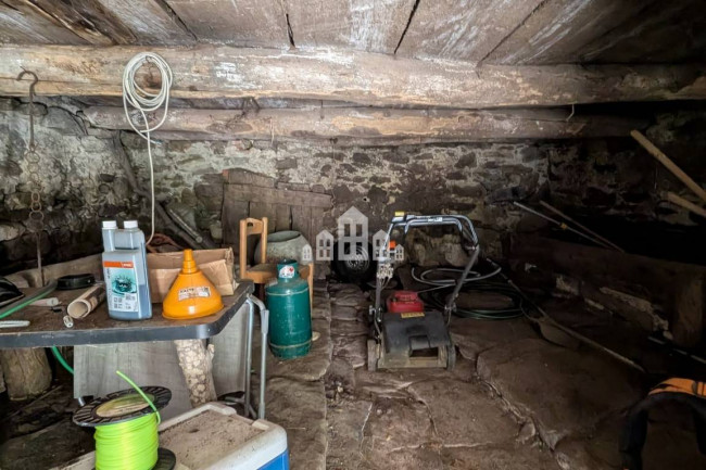 Fixer-upper for sale in Traversella