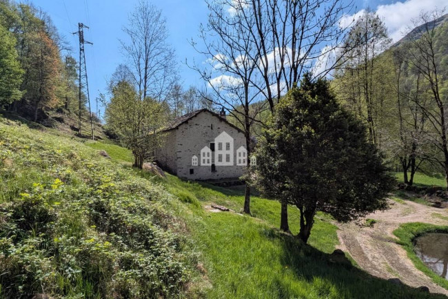 Fixer-upper for sale in Traversella