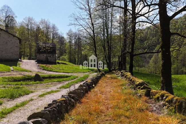 Fixer-upper for sale in Traversella