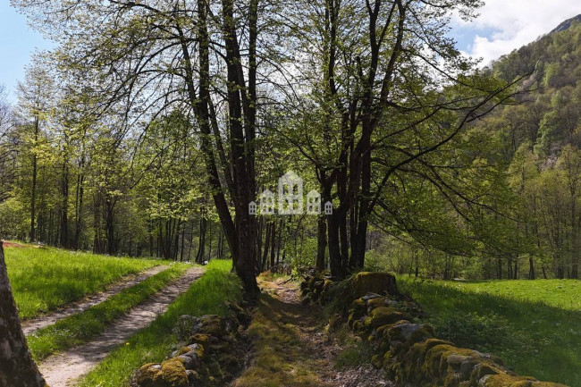 Fixer-upper for sale in Traversella